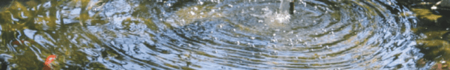 Aquatics - GroAqua