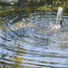 Aquatics - GroAqua