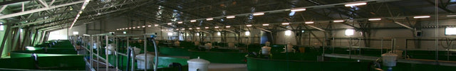 Fish Feeders - GroAqua