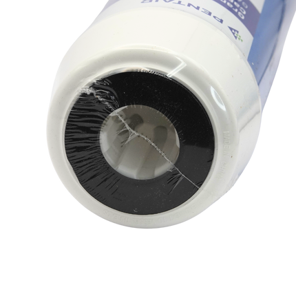 Pentair GAC-10 Granular Activated Carbon Filter 20 micron Carbon Cartridge Pentair