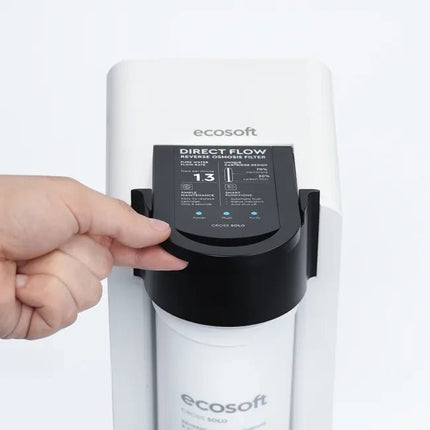 Ecosoft CROSS Solo direct flow reverse osmosis filter - GroAqua