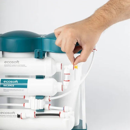 Ecosoft PURE Balance reverse osmosis filter - GroAqua