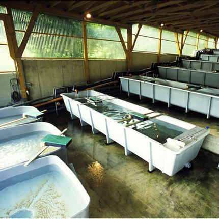 FIAP Profifeed Belt Feeder 3kg 24 Hour - GroAqua