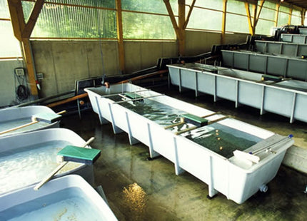 FIAP Profifeed Belt Feeder 5kg 12 Hour - GroAqua