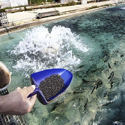 Banner image for: <h1>Feeding</h1>