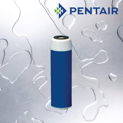 Pentair GAC-10 Granular Activated Carbon Filter 20 micron Carbon Cartridge Pentair   