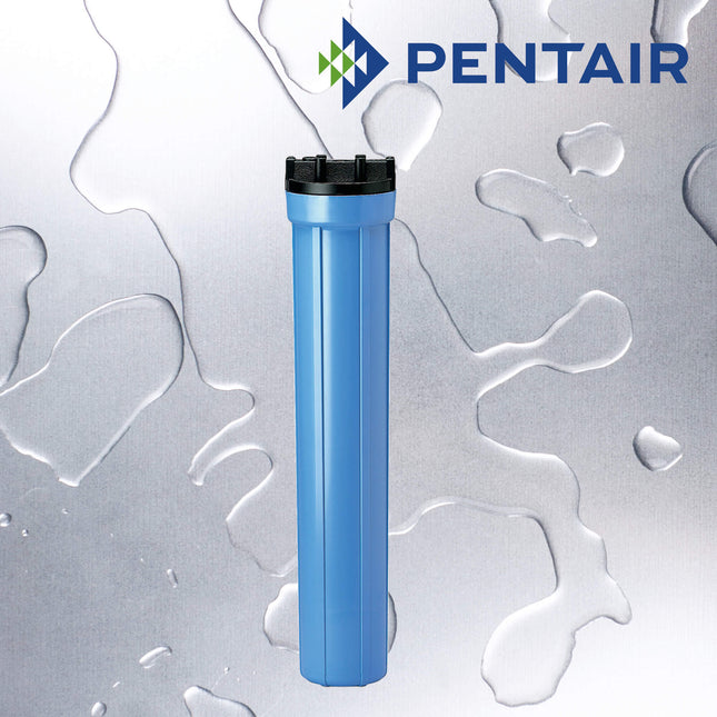 Pentair 20" Blue Housing 1" MB Without Pressure Release Filter Housing Pentair   