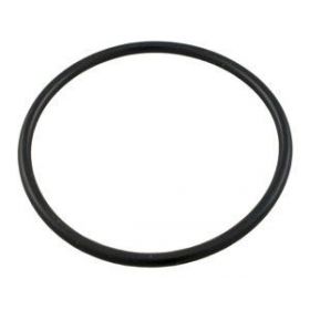 O-Ring for Big Blue 10" and 20" Housing Accessory Aquafilter