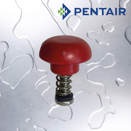 PENTAIR 3G Pressure Release Button Kit Filter Housing Accessory Pentair