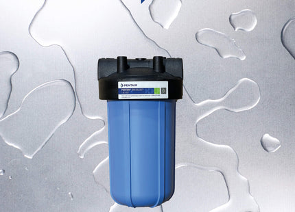 PENTAIR Big Blue 10" Housing 3/4" NPT WO/PR Filter Housing Pentair