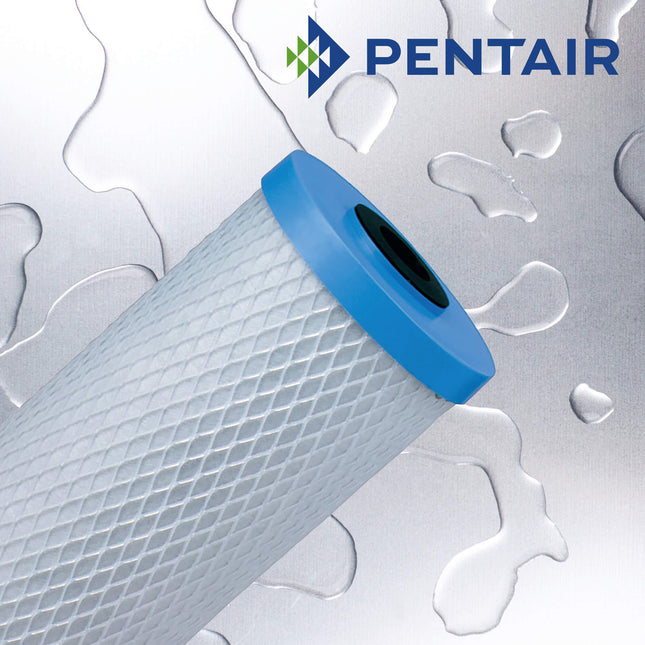 Pentair EPM Modified Epsilon Carbon Block 10 Micron 20" Large Diameter Carbon Cartridge Pentair