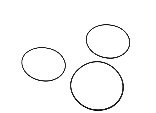 Pentair PBH Housing EPDM O - ring - GroAqua