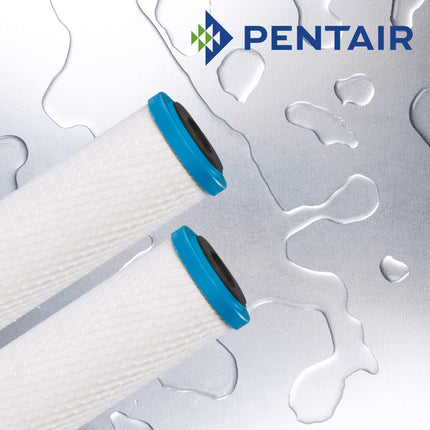 Pentair/ Pentek ChlorPlus 10, Carbon Block Water Filter - 10 inch Carbon Cartridge Pentair