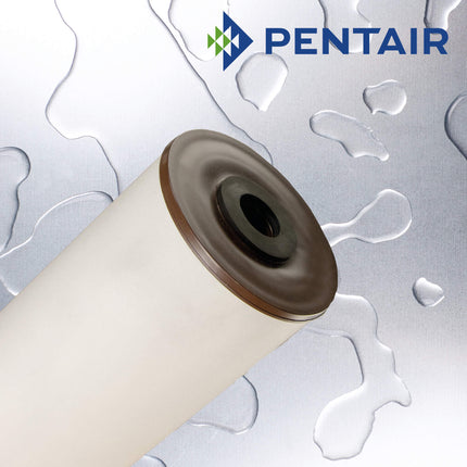 Pentair RFFE20-BB Iron Removal Large Diameter Cartridge, 20" X 4.5" Softening Cartridge Pentair