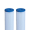 Prism Value Polyester Pleated Filter 10" - GroAqua