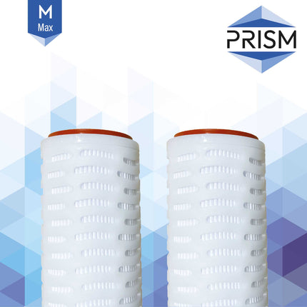 Prism Max Pleater PES Polyethersulfone Filter 9 3/4" Surface Filtration Prism 0.1 Micron Gasket 