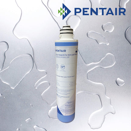 PENTAIR QC TSGAC Chlorine Taste Odour Scale Inhibiting Replacement Cartridge Carbon Cartridge Pentair   