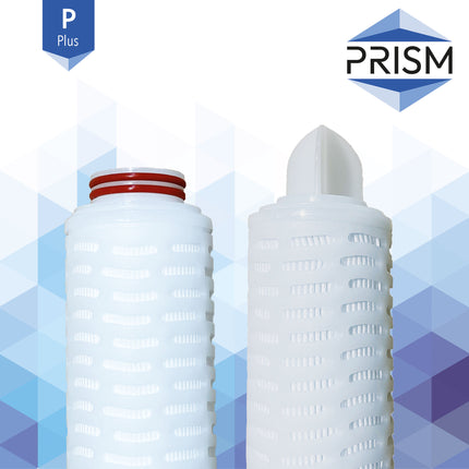 Prism Plus Pleated Polyprop Filter 10" Pleated Filter Prism 0.1 Micron 222 / FIN 