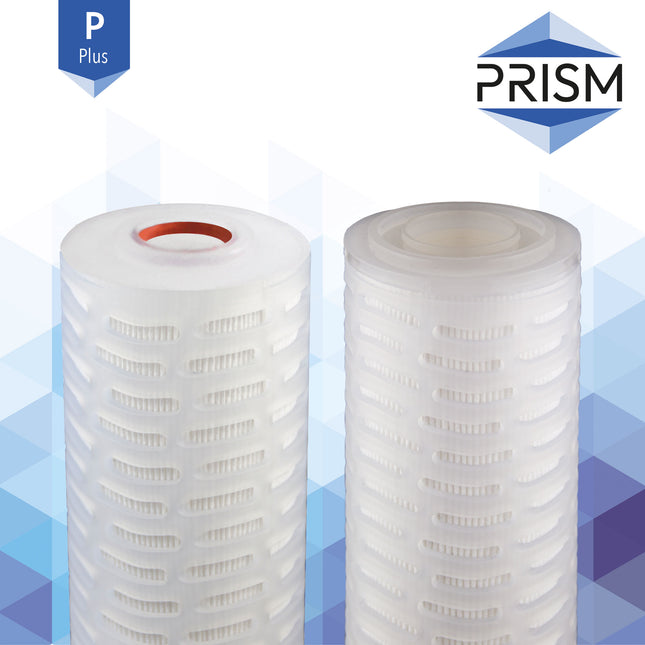 Prism Plus Pleated Polyprop Filter 10" Pleated Filter Prism 0.1 Micron Gaskets 