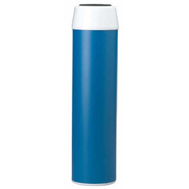Pentair GAC-10 Granular Activated Carbon Filter 20 micron Carbon Cartridge Pentair Default Title